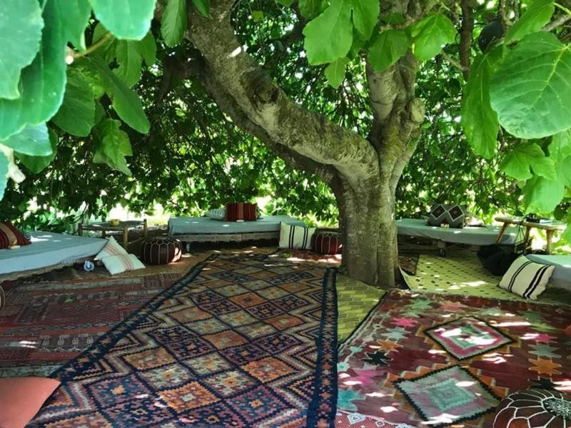 Can Nora , Santa Gertrudis 