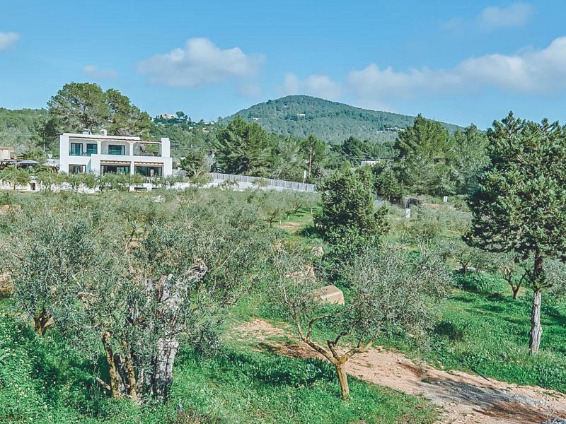 Can Pablo , San Jose 