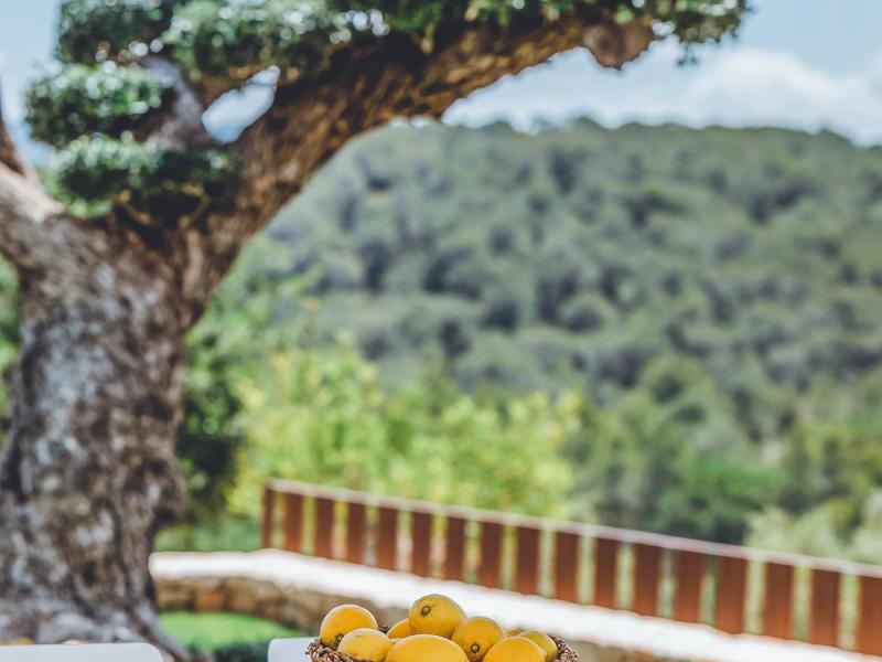 Can Benirras , Ibiza 