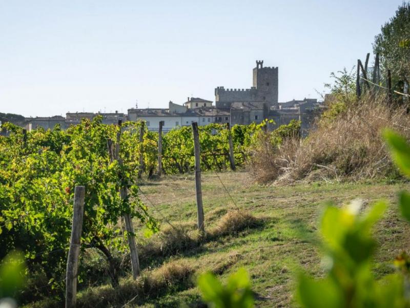 Borgo La Rocca – Historic Tuscan Hamlet with Vineyard, Pool and Private Chapel , Tuscany 