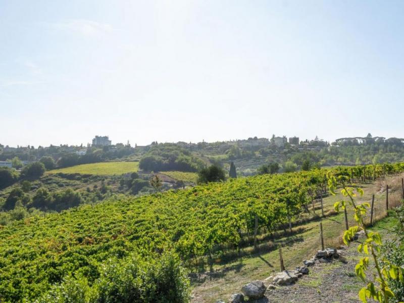 Borgo La Rocca – Historic Tuscan Hamlet with Vineyard, Pool and Private Chapel , Tuscany 