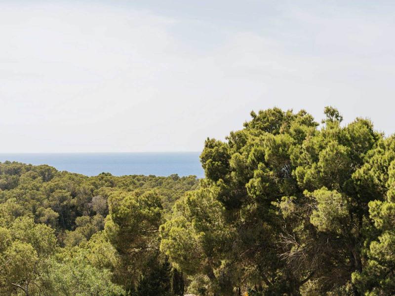 Renovated Modern Villa for Sale in Ibiza , San Antonio 