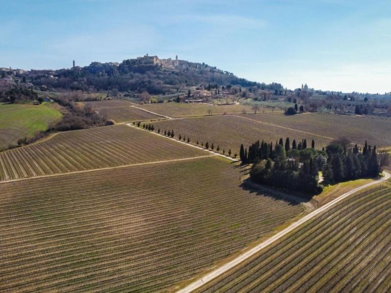 Organic Winery Estate for Sale in Montepulciano, Tuscany , Tuscany 