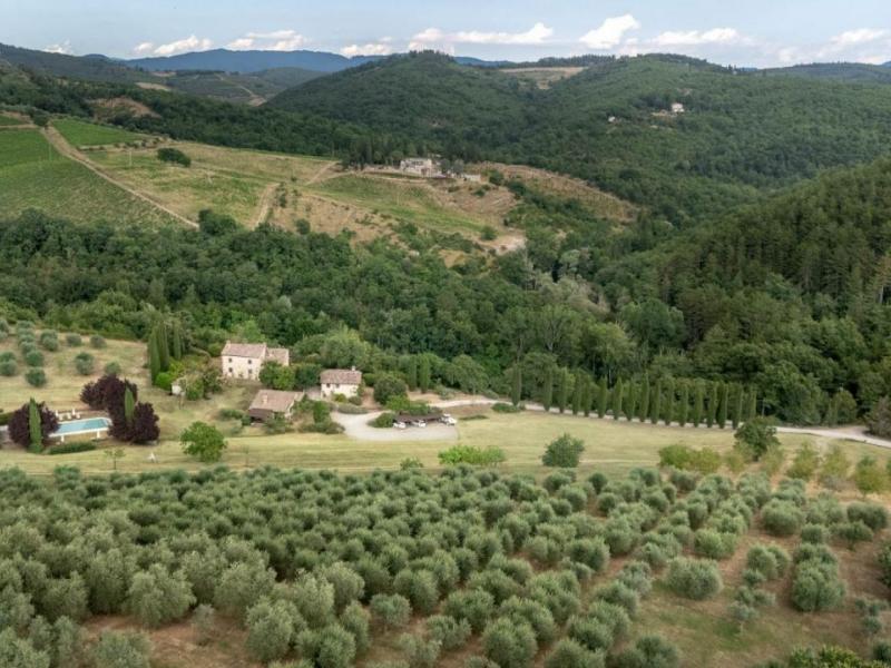 Country House/Farmhouse for sale for sale in Siena - Radda in Chianti , 