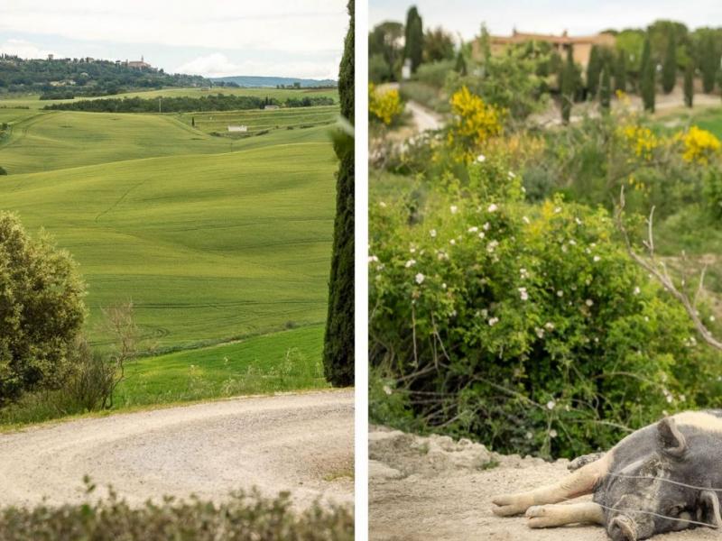 Historic Stone Villa for Sale in San Quirico d’Orcia, Tuscany , Tuscany 