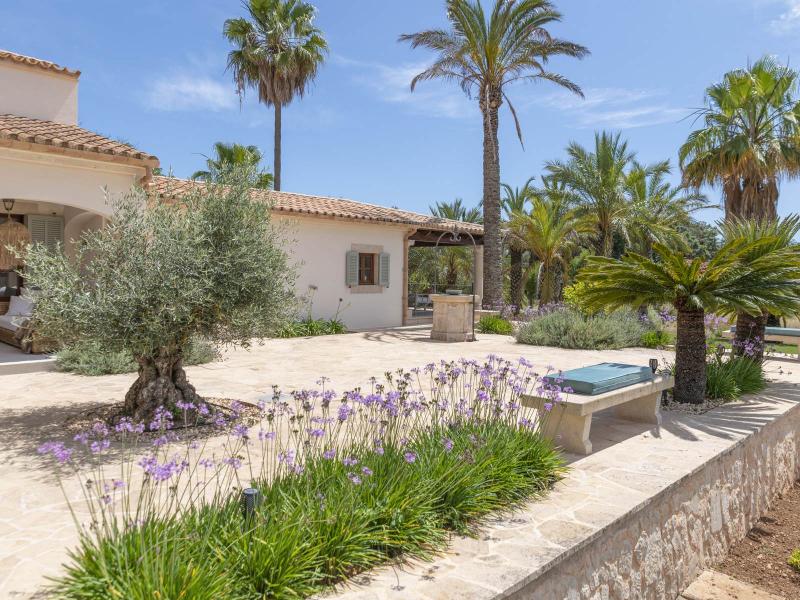 Luxury Estate for Sale in Cas Concos , 