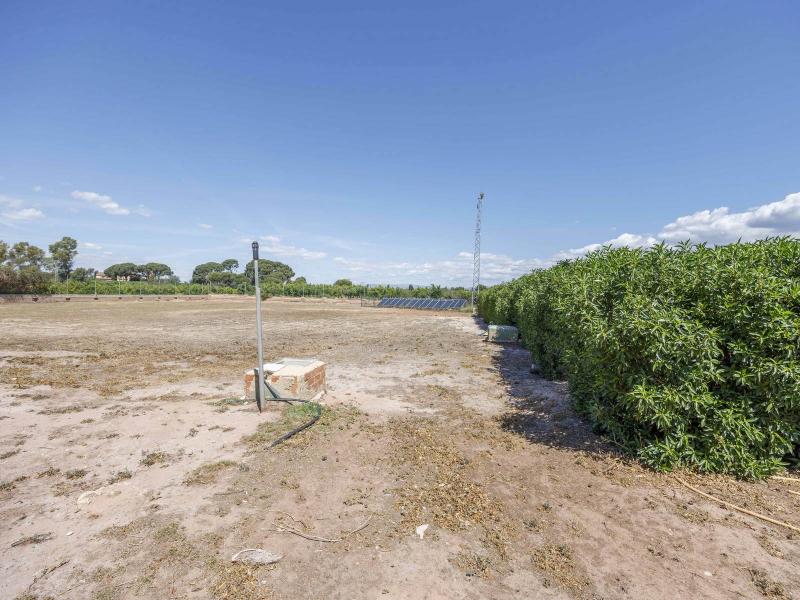 Equestrian Property for Sale in Bétera, Valencia , Valencia 