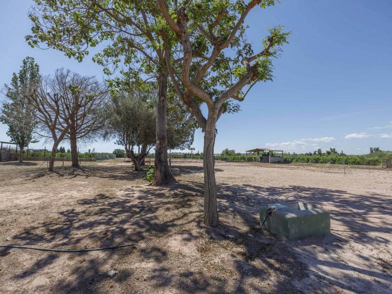 Equestrian Property for Sale in Bétera, Valencia , Valencia 