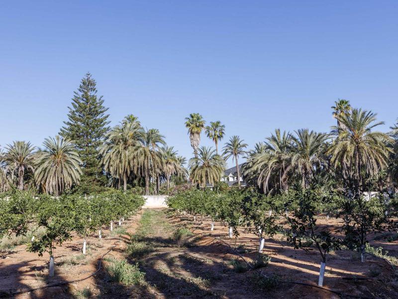 Exceptional Estate with 2 Villas, 2 Pools & 40,000 m² of Orange Groves , Valencia 