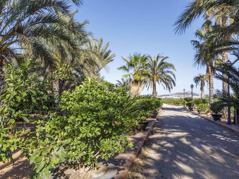 Exceptional Estate with 2 Villas, 2 Pools & 40,000 m² of Orange Groves , Valencia 