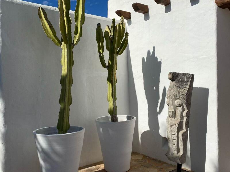 Blakstad-Style Finca for Sale Near Santa Gertrudis , Jesus 