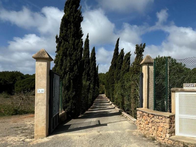 Country house for sale in Santa Gertrudis - , 