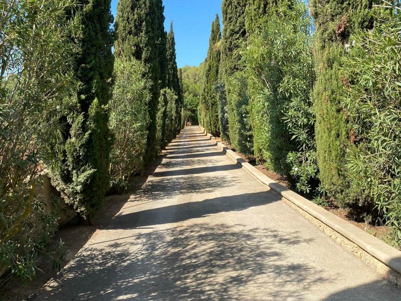 Country house for sale in Santa Gertrudis - , 