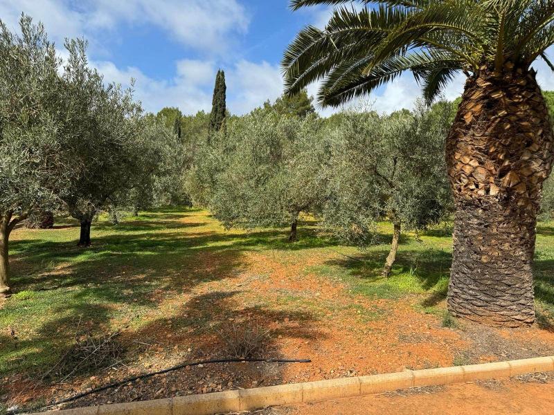 Country house for sale in Santa Gertrudis - , 