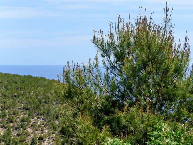 Luxury Contemporary Ibiza Villa for Sale with Panoramic Sea Views , Santa Eulària des Riu 