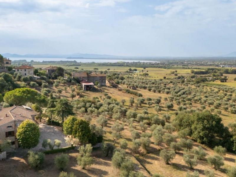 Detached House for sale for sale in Arezzo - Cortona , Tuscany 