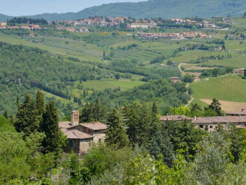Historic Country Villa for Sale , Tuscany 