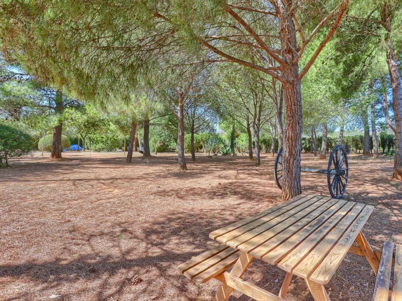 Country house for sale in Santa Maria del Cami - , 