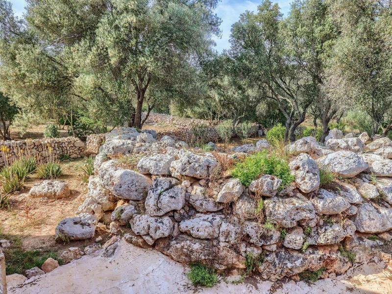 Exclusive Historic Finca for Sale , 
