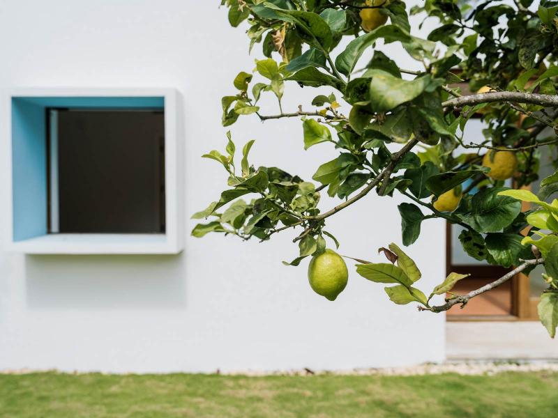 Contemporary Finca for Sale near Santa Gertrudis, Ibiza , Ibiza , Santa Gertrudis 