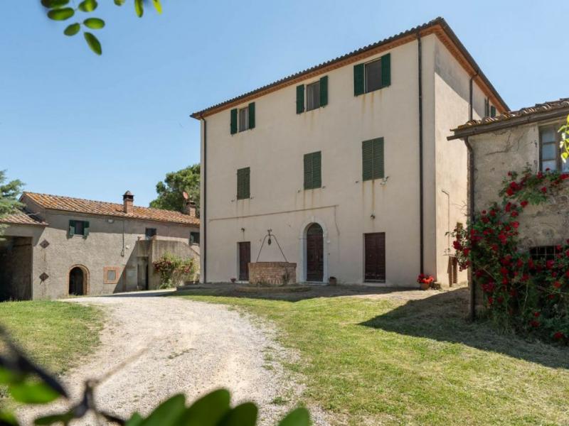 Farm for sale for sale in Grosseto - Grosseto , 