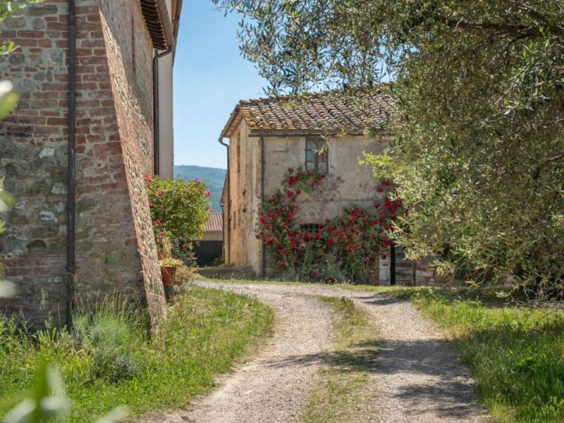 Farm for sale for sale in Grosseto - Grosseto , 