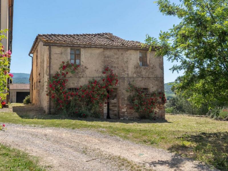 Farm for sale for sale in Grosseto - Grosseto , 