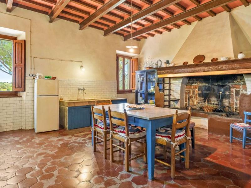 Farm for sale for sale in Grosseto - Grosseto , 