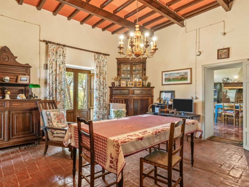 Farm for sale for sale in Grosseto - Grosseto , 