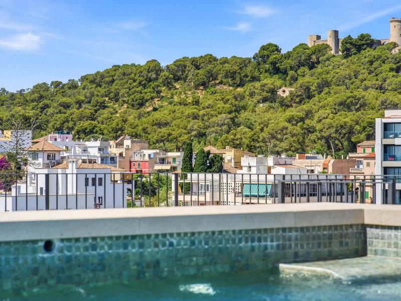 Luxury Penthouse for Sale in Mallorca with Private Rooftop Pool , Palma 