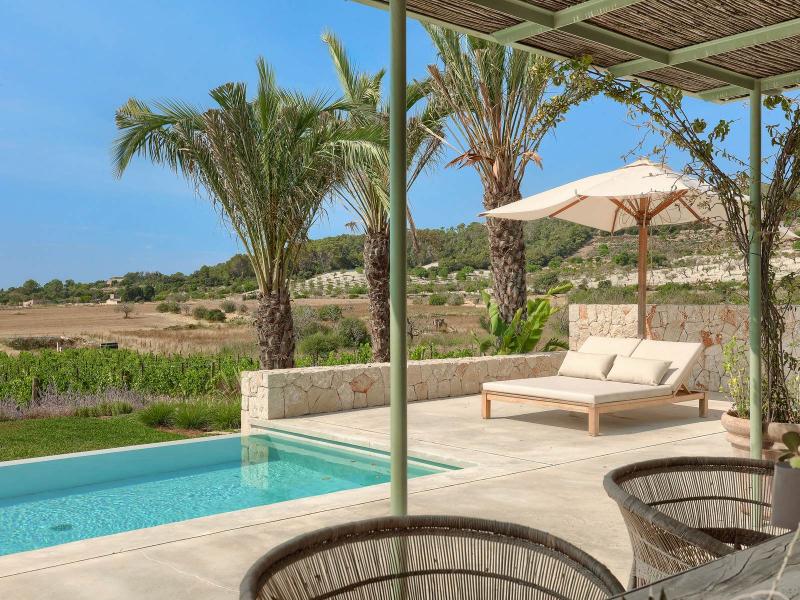 New-Build Finca with Vineyard & Guest House , Central 