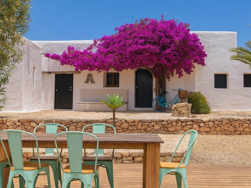 Traditional Formentera House for Sale in Es Cap , Formentera 