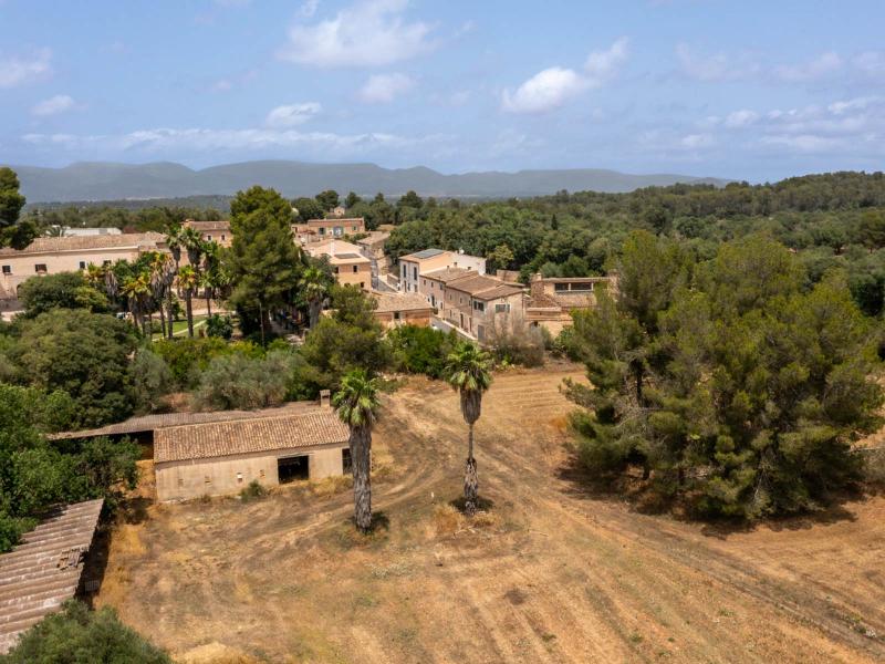 Historic Luxury Estate for Sale in Pla de Mallorca , Central 