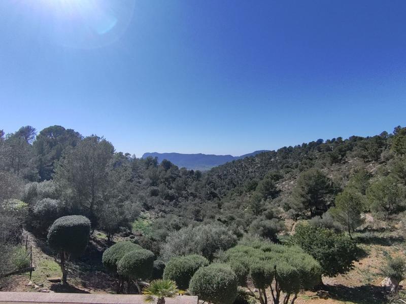Private Villa for Sale in the Protected Area of Son Font - Mallorca , Andratx , Illes Balears 
