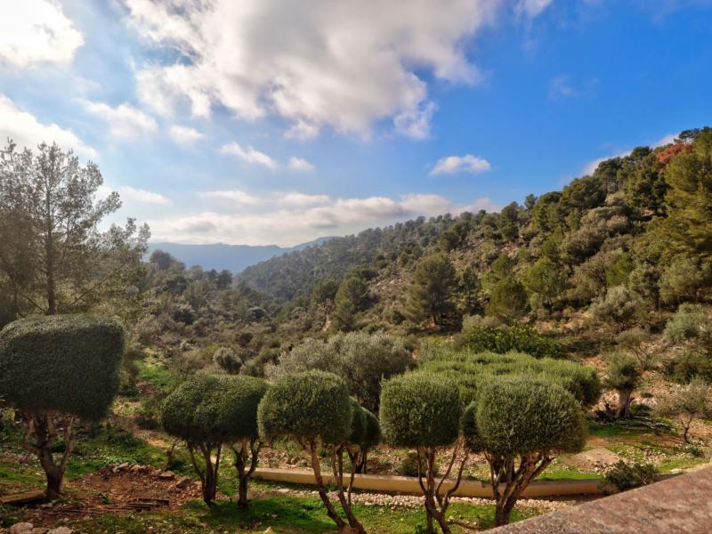 Private Villa for Sale in the Protected Area of Son Font - Mallorca , Andratx , Illes Balears 
