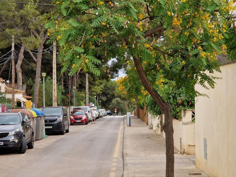 Elegant Family Home in the Heart of Portals Nous , Calvia , Illes Balears , Portals 