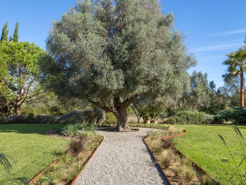 Exquisite Country Home for Sale between Polensa and Alcudia , Illes Balears , Pollensa 