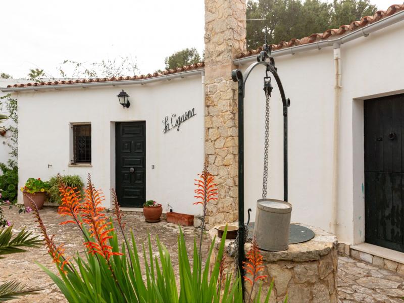 Charming 1950's Villa for sale in Portals Nous - Mallorca , Illes Balears , Portals 