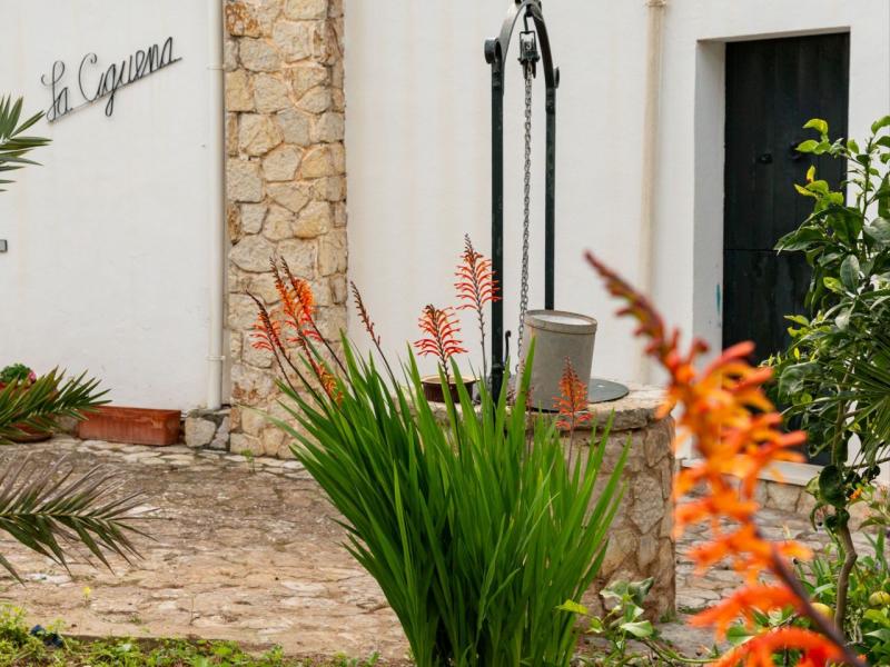Charming 1950's Villa for sale in Portals Nous - Mallorca , Illes Balears , Portals 