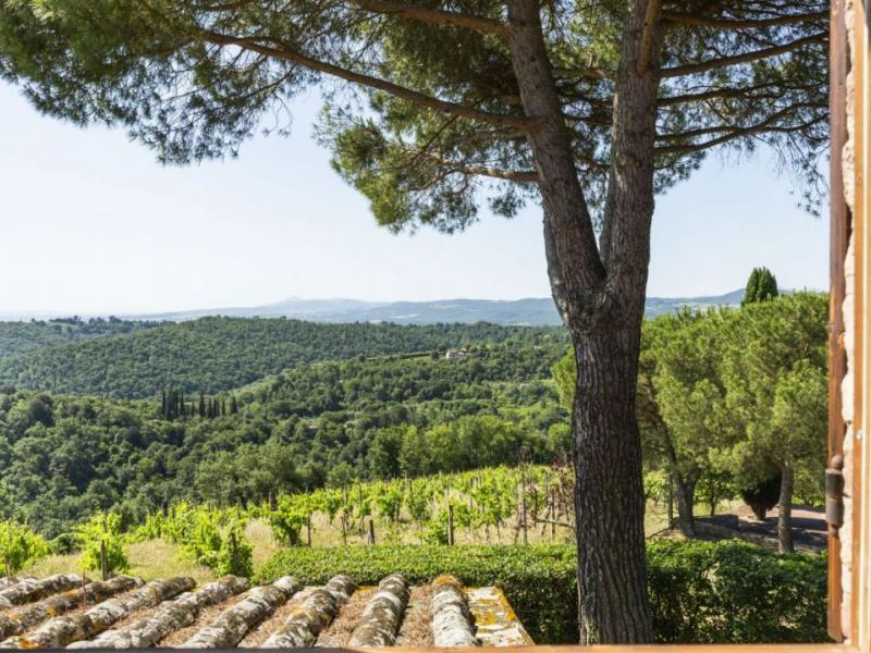 Mansion/Villa for sale for sale in Siena - Sinalunga , 
