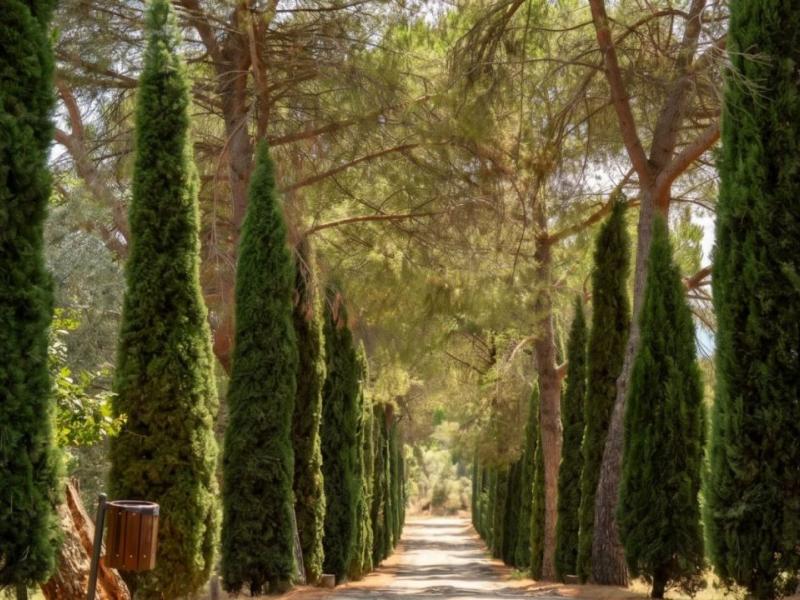 Historic Hamlet with Villa, Agriturismo, Vineyard and Church for Sale Near Arezzo, Tuscany , Tuscany 