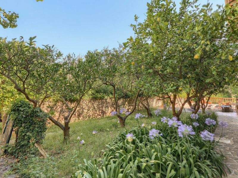 Villa for Sale in Valldemossa, Mallorca , Valldemossa 
