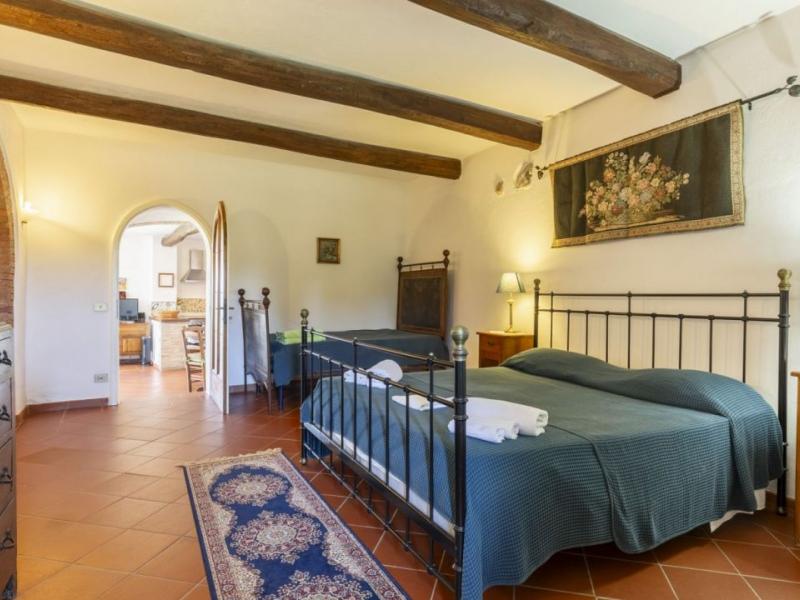 Historic Chianti Villa for Sale with Pool, Olive Grove & Panoramic Views in Castellina in Chianti , Tuscany 
