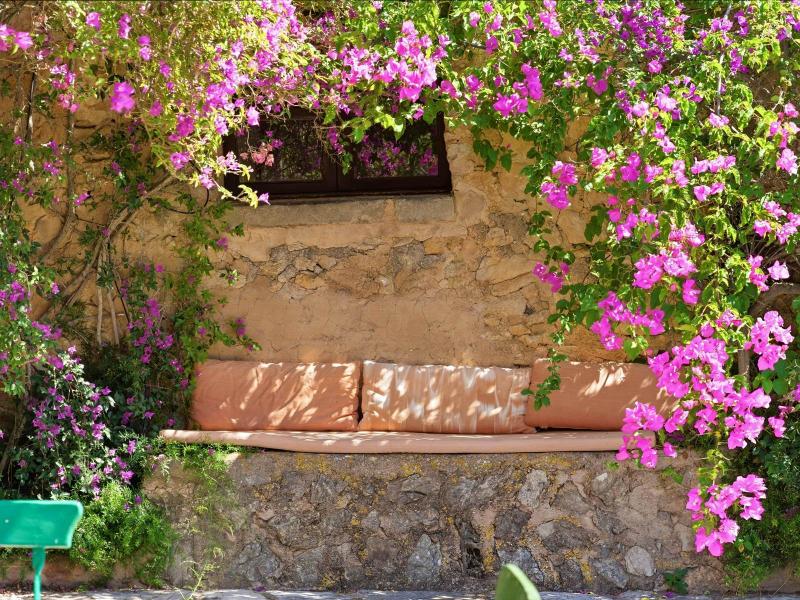 Rustic Finca for Sale in Son Macià, Mallorca , Manacor 
