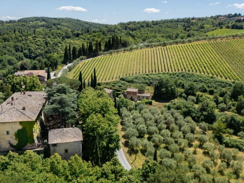 Wineries for sale for sale in Siena - Castelnuovo Berardenga , Tuscany 