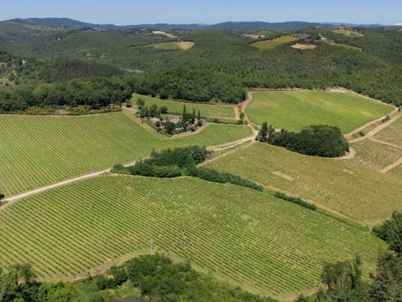 Wineries for sale for sale in Siena - Castelnuovo Berardenga , Tuscany 