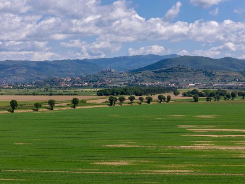 Houses for sale in Arezzo - Cortona , 