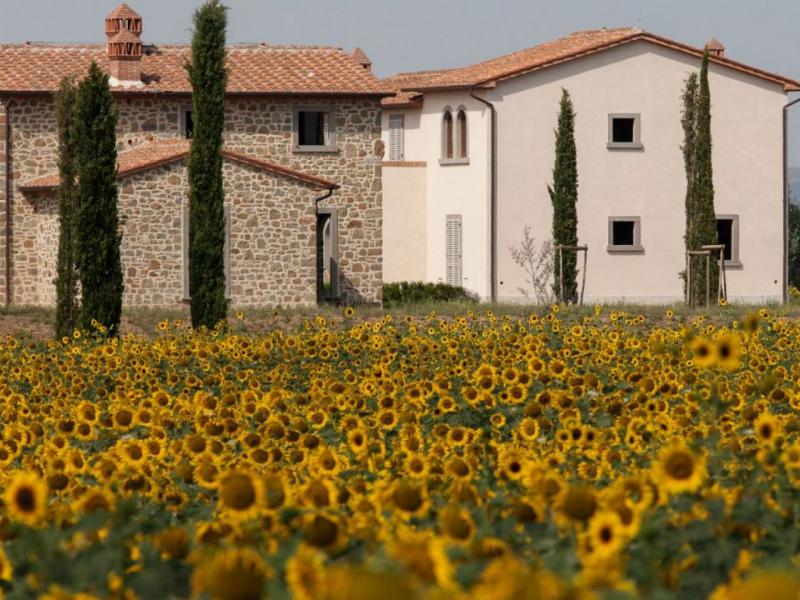 Houses for sale in Arezzo - Cortona , 