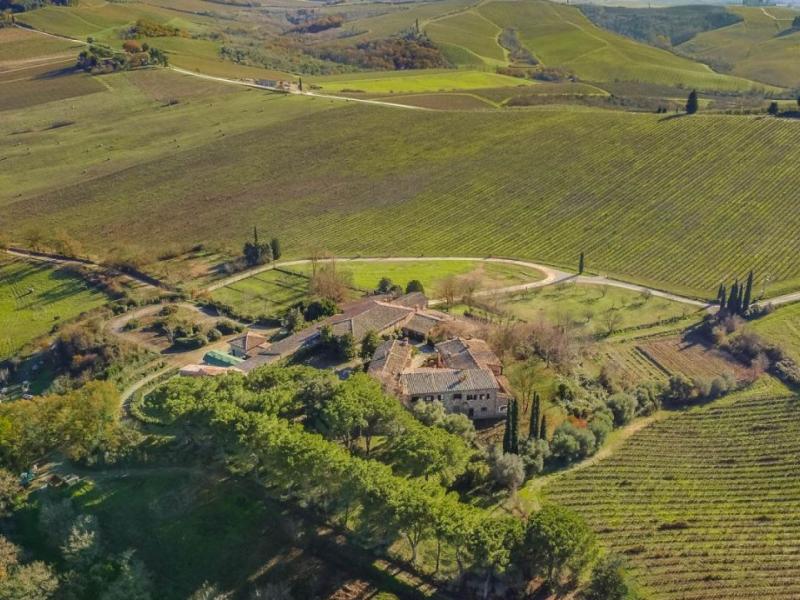 Wineries for sale in Siena - Castellina in Chianti , Tuscany 