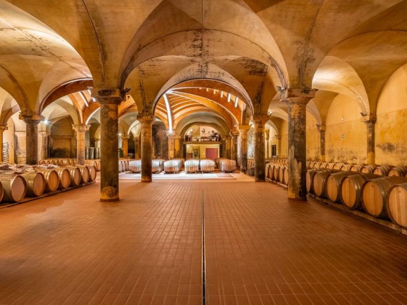 Wineries for sale in Siena - Castellina in Chianti , Tuscany 